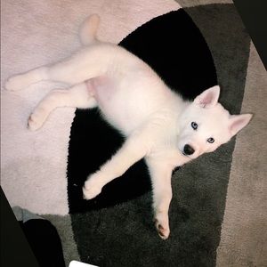 Meet your Posher, Ashley